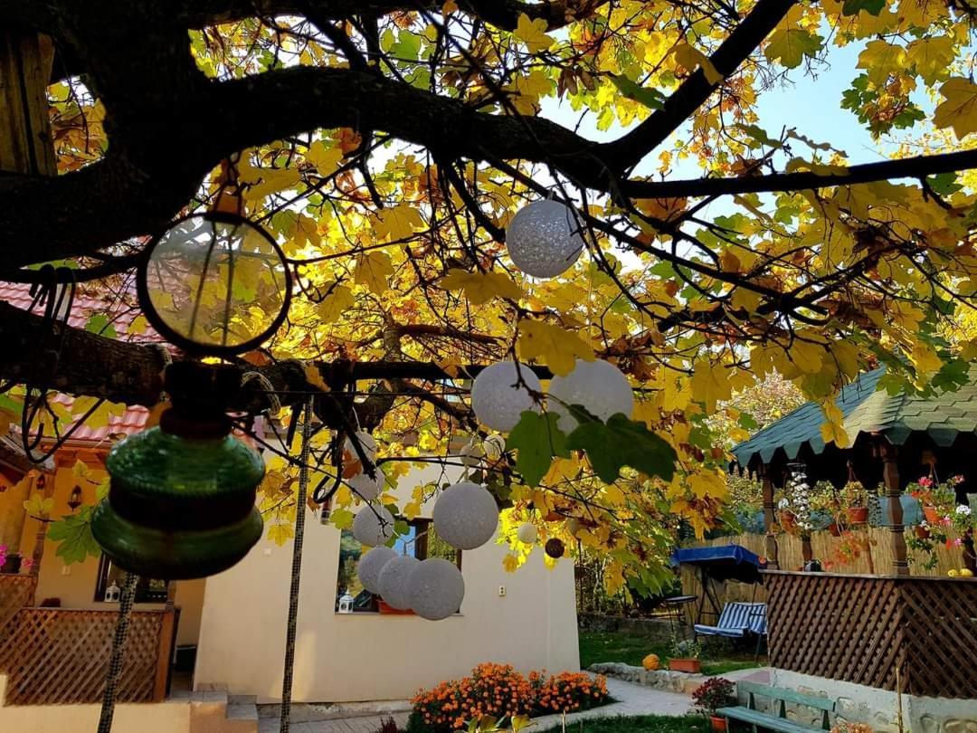 Casa Smeilor Хорезу Экстерьер фото
